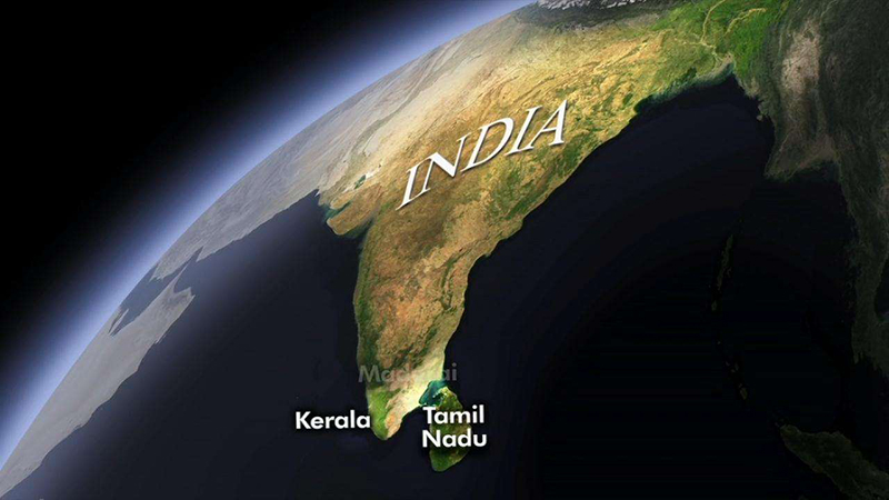 globally virtual office address
